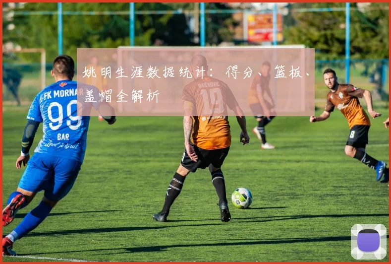 姚明生涯数据统计:得分、篮板、盖帽全解析